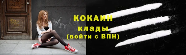 гидра Арсеньев