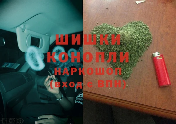 гидра Арсеньев