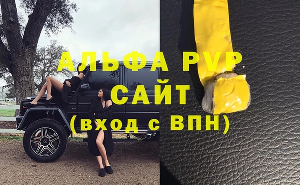 гидра Арсеньев
