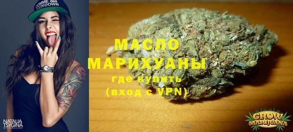 гидра Арсеньев