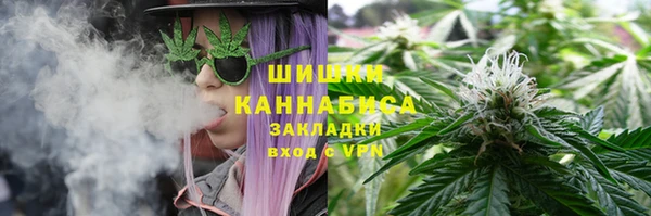 гидра Арсеньев
